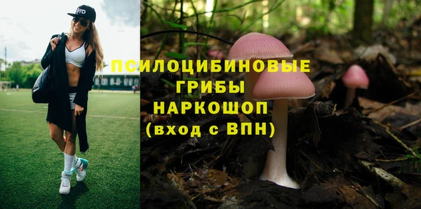 эйфоретик Вязники