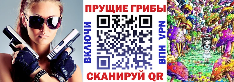 Купить закладки Приморско-Ахтарск Галлюциногенные грибы MAGIC MUSHROOMS